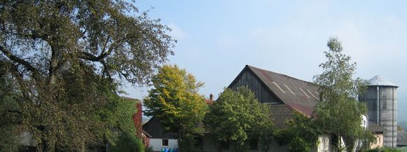 Startbild mit verschiedenen Produkten